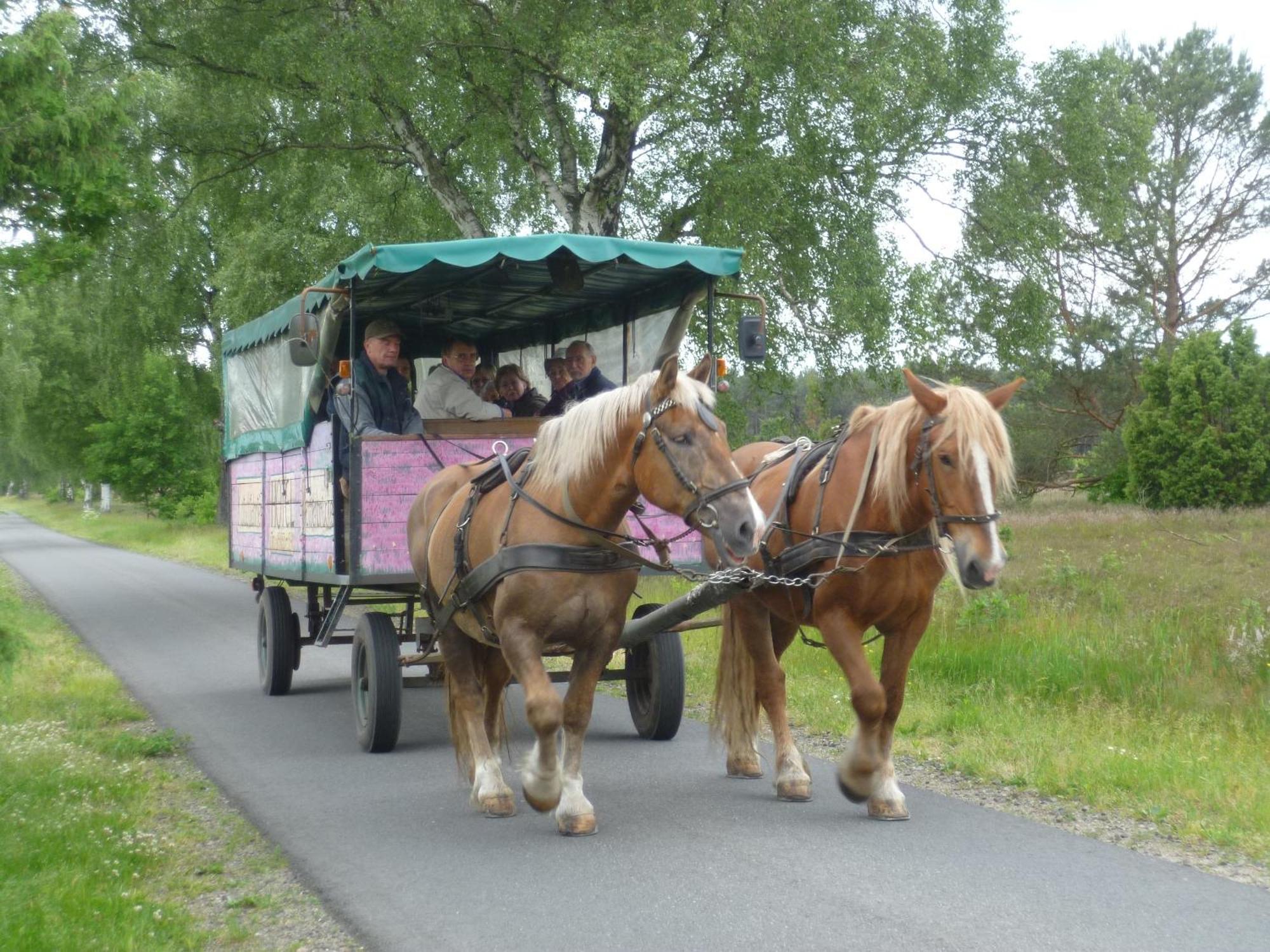 Heidehotel Herrenbruecke Faßberg Buitenkant foto